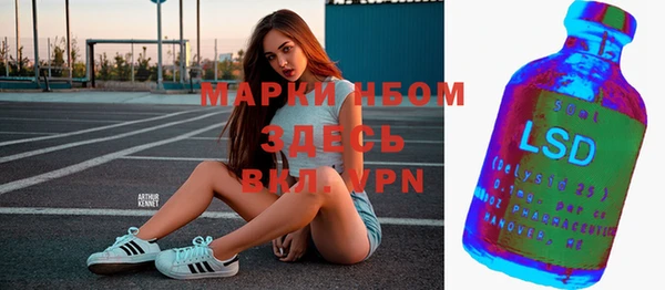 стаф Богданович