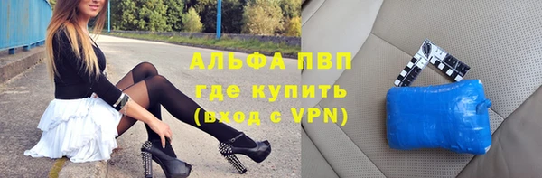 стаф Богданович