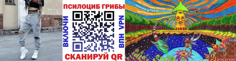 Псилоцибиновые грибы Magic Shrooms  Боготол 